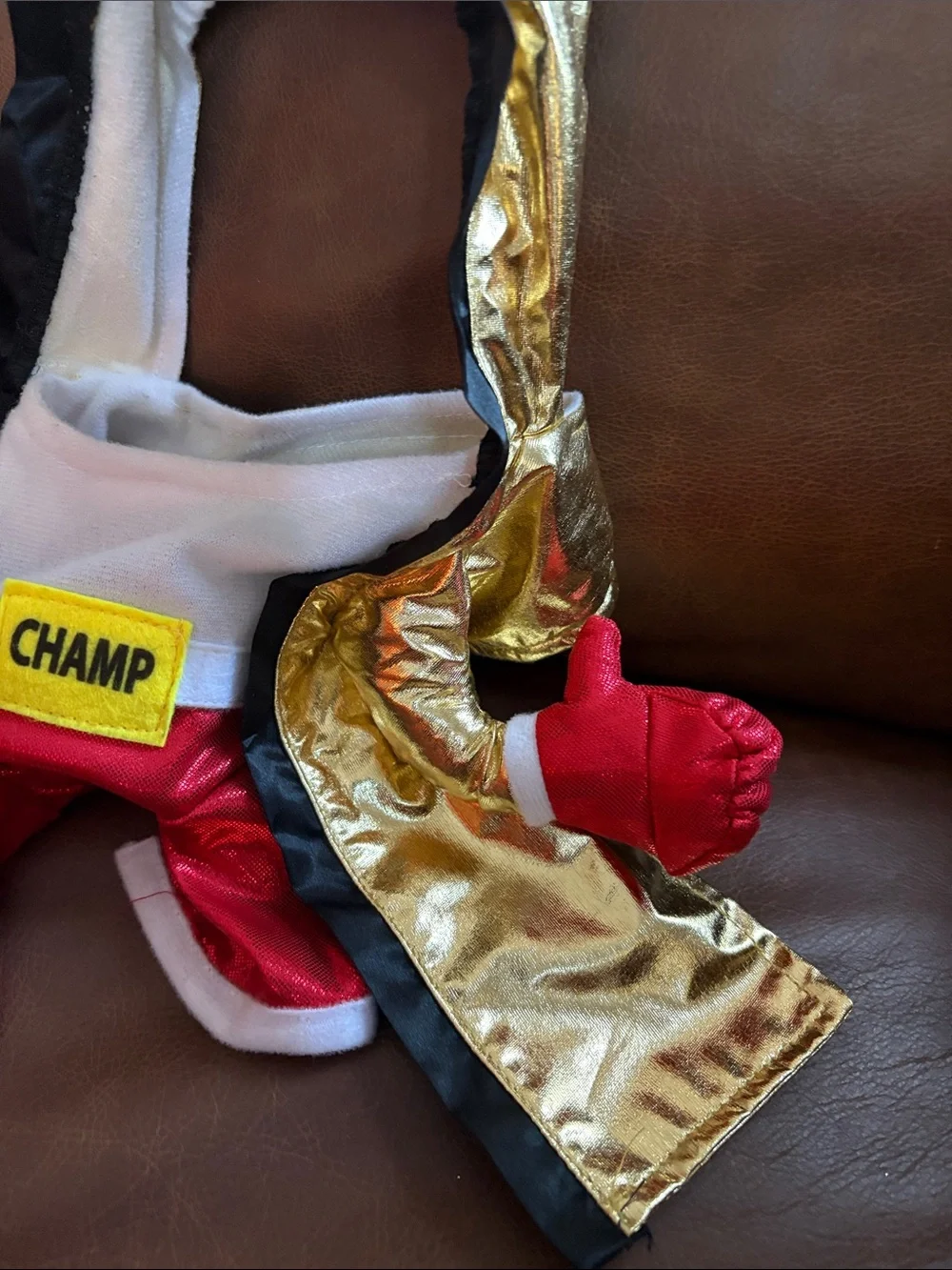 Boxing Champ Frontal dog S Halloween costume
